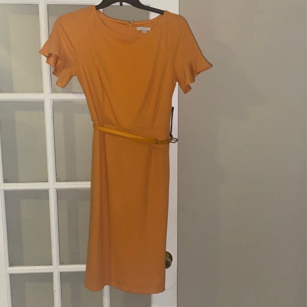 New York & Company Orange Dress NWT